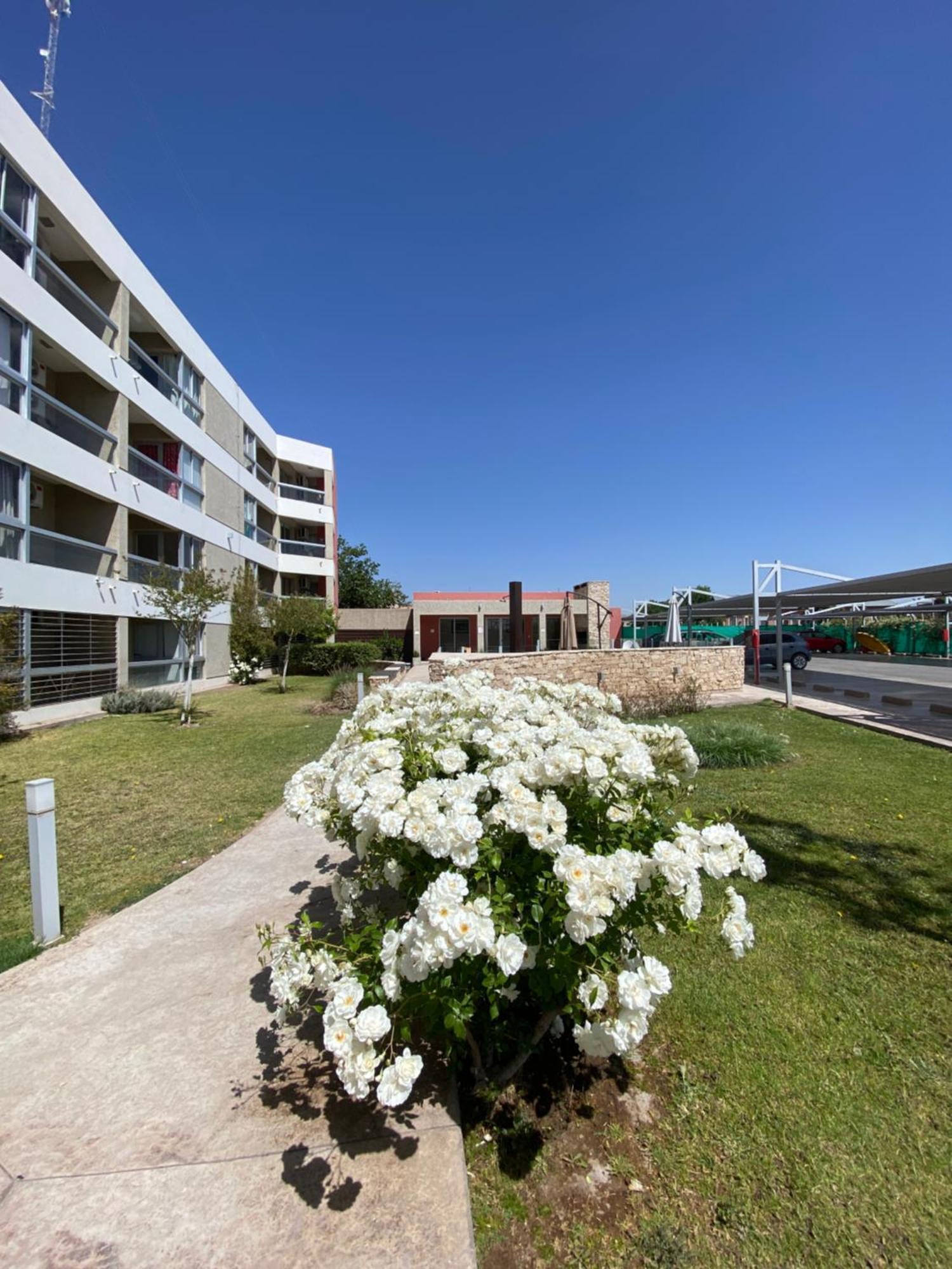 Malbec San Juan Apartment *
